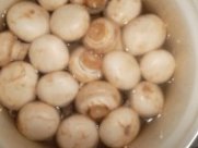 Холодные закуски из сыра, овощей, грибов